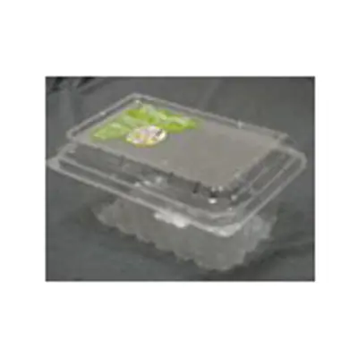 An empty clear plastic clamshell style container.